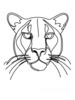 Minimalist Line Art Tracing Mountain Lion's Back