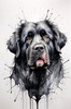Abstract Art Print of a Gentle Newfoundland Dog