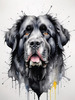 Abstract Art Print of a Gentle Newfoundland Dog