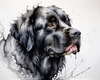 Abstract Art Print of a Gentle Newfoundland Dog