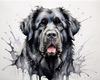 Abstract Art Print of a Gentle Newfoundland Dog