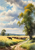 Open Plains with Grazing Herd and Dynamic Cloud Shadows