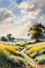 Open Plains with Grazing Herd and Dynamic Cloud Shadows