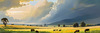Open Plains with Grazing Herd and Dynamic Cloud Shadows