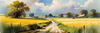 Open Plains with Grazing Herd and Dynamic Cloud Shadows