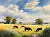 Open Plains with Grazing Herd and Dynamic Cloud Shadows
