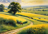 Open Plains with Grazing Herd and Dynamic Cloud Shadows