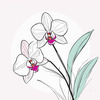 Subtle Flow in Minimalist Line Art of Orchid's Cascading Blooms