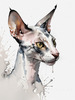 Abstract Sketch of Oriental Shorthair Cat's Face with Slender Neck and Pointed Ears