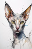 Abstract Sketch of Oriental Shorthair Cat's Face with Slender Neck and Pointed Ears