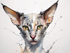 Abstract Sketch of Oriental Shorthair Cat's Face with Slender Neck and Pointed Ears
