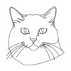 Minimalist Line Drawing of Persian Cat Looking at Viewer