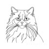 Minimalist Line Drawing of Persian Cat Looking at Viewer