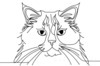 Minimalist Line Drawing of Persian Cat Looking at Viewer