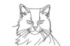 Minimalist Line Drawing of Persian Cat Looking at Viewer