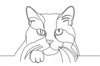 Minimalist Line Drawing of Persian Cat Looking at Viewer