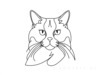 Minimalist Line Drawing of Persian Cat Looking at Viewer