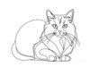Minimalist Line Drawing of Persian Cat Looking at Viewer