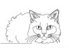 Minimalist Line Drawing of Persian Cat Looking at Viewer