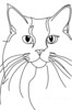 Minimalist Line Drawing of Persian Cat Looking at Viewer
