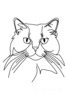 Minimalist Line Drawing of Persian Cat Looking at Viewer