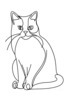 Minimalist Line Drawing of Persian Cat Looking at Viewer