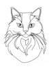 Minimalist Line Drawing of Persian Cat Looking at Viewer