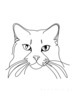 Minimalist Line Drawing of Persian Cat Looking at Viewer