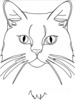 Minimalist Line Drawing of Persian Cat Looking at Viewer