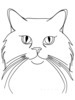 Minimalist Line Drawing of Persian Cat Looking at Viewer