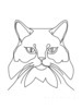 Minimalist Line Drawing of Persian Cat Looking at Viewer