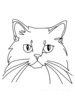Minimalist Line Drawing of Persian Cat Looking at Viewer