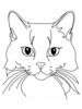 Minimalist Line Drawing of Persian Cat Looking at Viewer