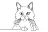 Minimalist Line Drawing of Persian Cat Looking at Viewer