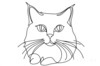 Minimalist Line Drawing of Persian Cat Looking at Viewer