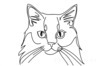 Minimalist Line Drawing of Persian Cat Looking at Viewer
