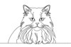Minimalist Line Drawing of Persian Cat Looking at Viewer