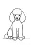 Minimalist Line Art Print of a Poodle in Elegant Poise