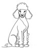 Minimalist Line Art Print of a Poodle in Elegant Poise
