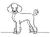 Minimalist Line Art Print of a Poodle in Elegant Poise
