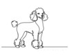 Minimalist Line Art Print of a Poodle in Elegant Poise