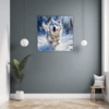 Powerful Siberian Husky Hallway Demo