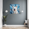 Powerful Siberian Husky Hallway Demo