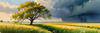 Vast Prairie with Swaying Tallgrass and a Distant Solitary Tree under a Dramatic Sky