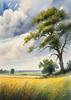 Vast Prairie with Swaying Tallgrass and a Distant Solitary Tree under a Dramatic Sky