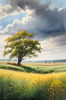 Vast Prairie with Swaying Tallgrass and a Distant Solitary Tree under a Dramatic Sky