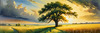 Vast Prairie with Swaying Tallgrass and a Distant Solitary Tree under a Dramatic Sky