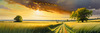 Vast Prairie with Swaying Tallgrass and a Distant Solitary Tree under a Dramatic Sky