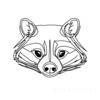 Minimalist Line Art of Raccoon's Masked Eye Area