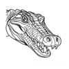 Minimalist Line Art of Raccoon's Masked Eye Area